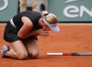 蜂鸟电竞-莎拉波娃爆冷击败法国队，赛况扑朔迷离引爆全场！的简单介绍