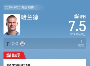 蜂鸟- 哈兰德球队 