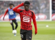 蜂鸟- 欧联赛程规则 