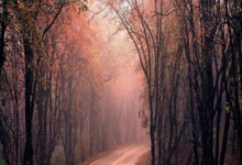 蜂鸟-关于国际比赛日欧篮联焦点战，洛杉矶快船单刀错失，底气十足，临场指挥获称赞的信息